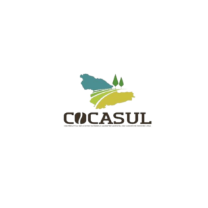 Design sem nome (6)